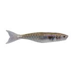 Berkley PowerBait® PowerStinger - 4.25" - HD Mullet BSWPBSPS4.25-HDMLT